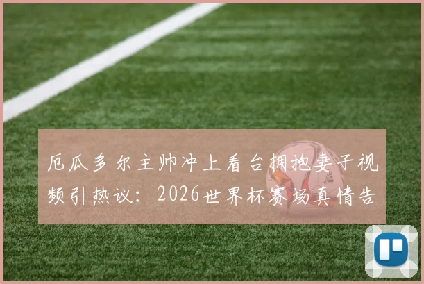 厄瓜多尔主帅冲上看台拥抱妻子视频引热议：2026世界杯赛场真情告白，赛后采访揭秘背后故事