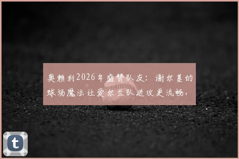 奥赖利2026年盛赞队友:谢尔基的球场魔法让爱尔兰队进攻更流畅,解析其关键作用与技术特点